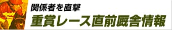 �žޥ졼��ľ�����˾���